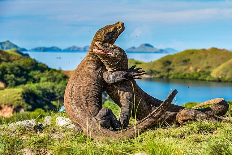 Indonesia Labuan Bajo