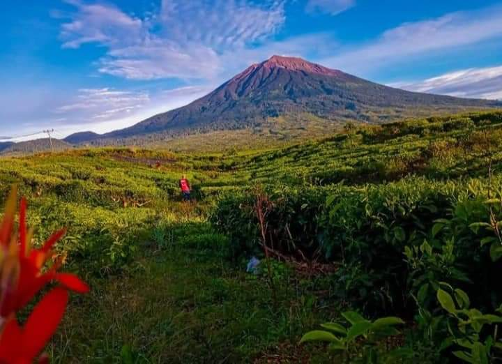 Gunung Kerinci Sumatera