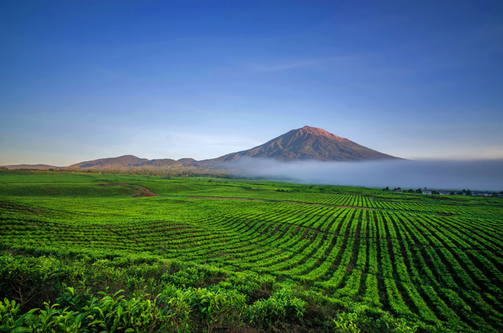 Gunung Kerinci Sumatera