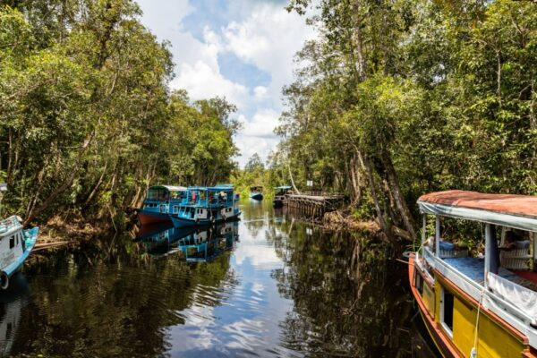 Tanjung Puting Kalimantan