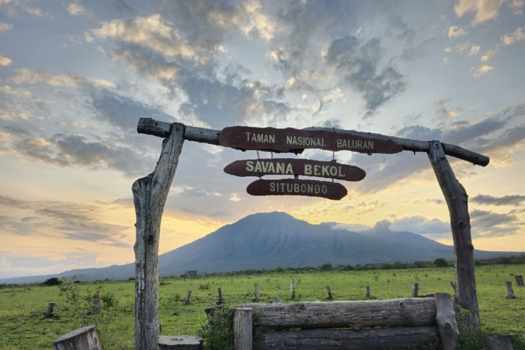 Taman Nasional Baluran Banyuwangi