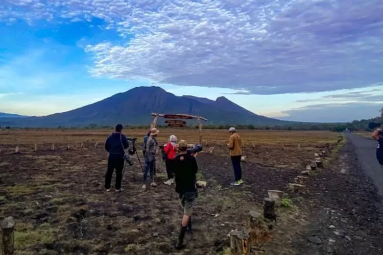 Taman Nasional Baluran Banyuwangi